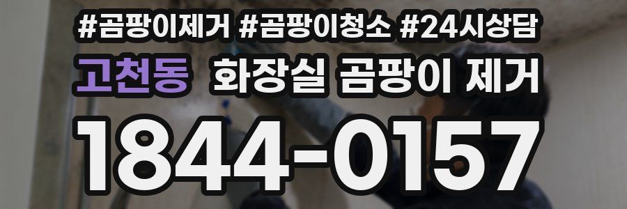 고천동 화장실 곰팡이 제거