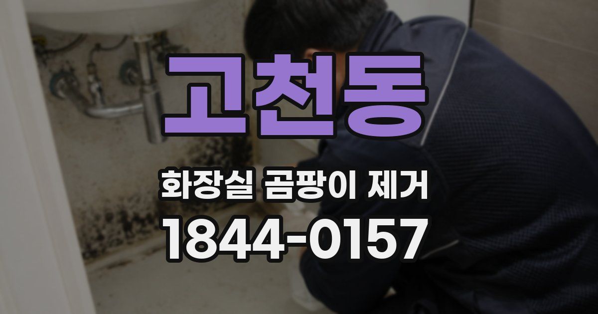 고천동 화장실 곰팡이 제거