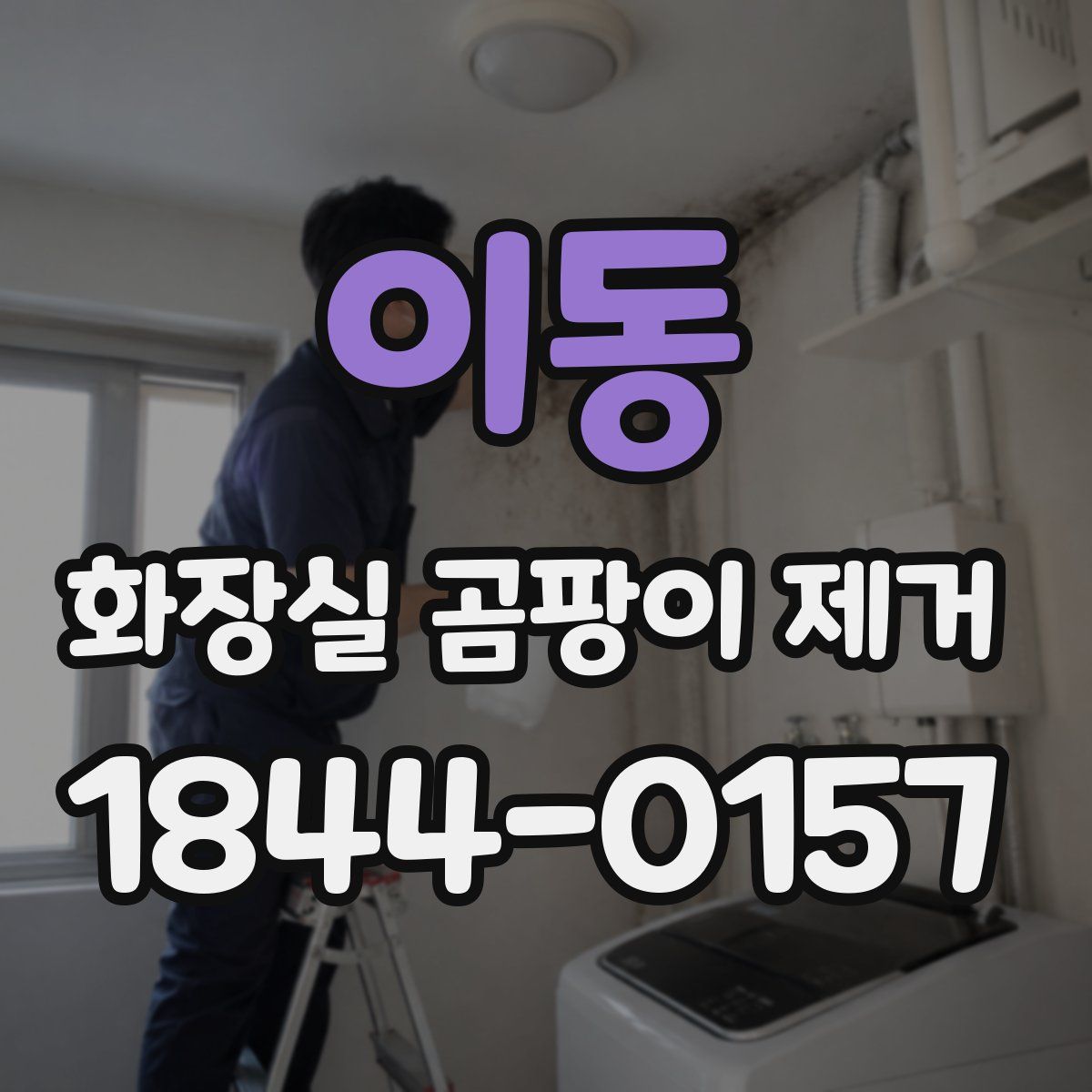 이동 화장실 곰팡이 제거