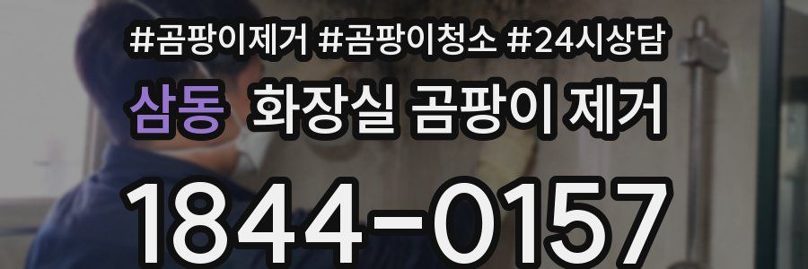 삼동 화장실 곰팡이 제거