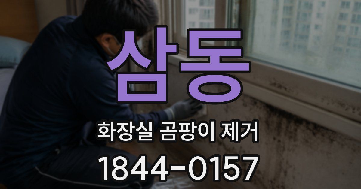 삼동 화장실 곰팡이 제거