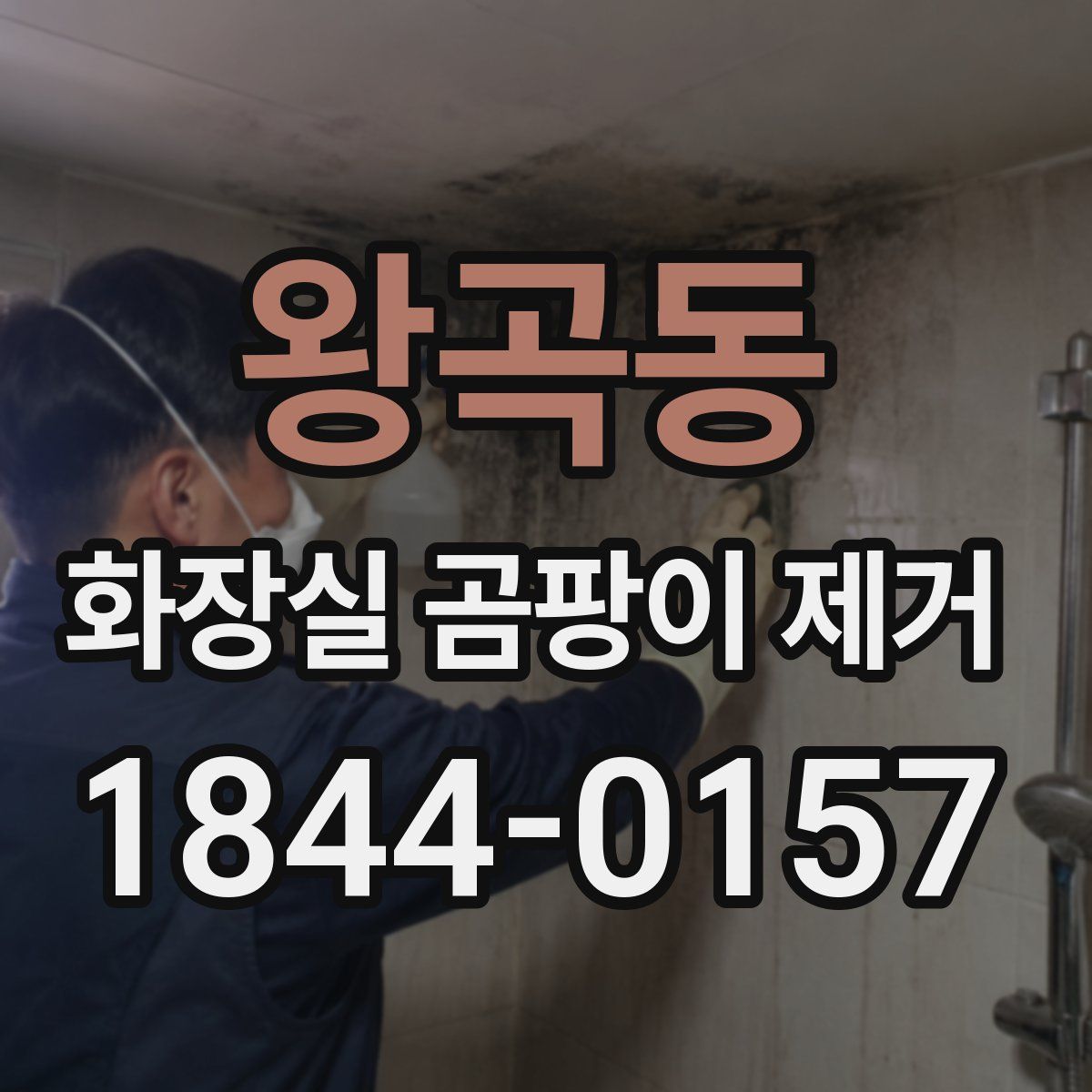 왕곡동 화장실 곰팡이 제거