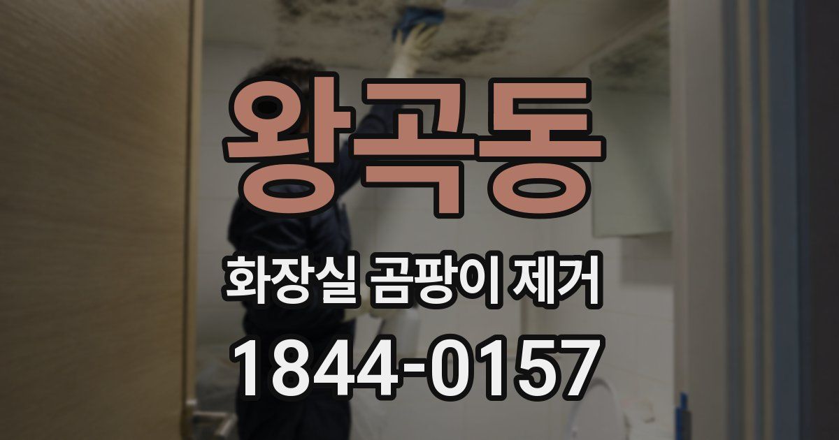 왕곡동 화장실 곰팡이 제거