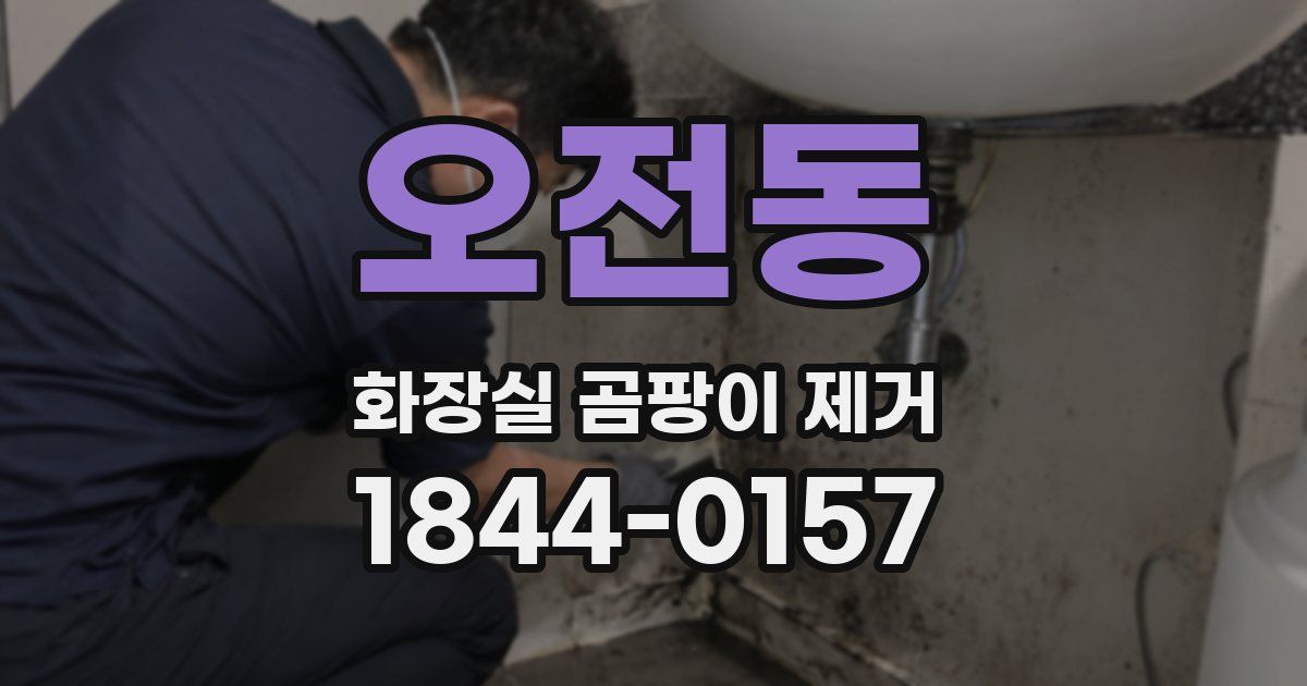 오전동 화장실 곰팡이 제거
