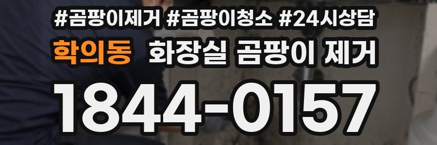 학의동 화장실 곰팡이 제거