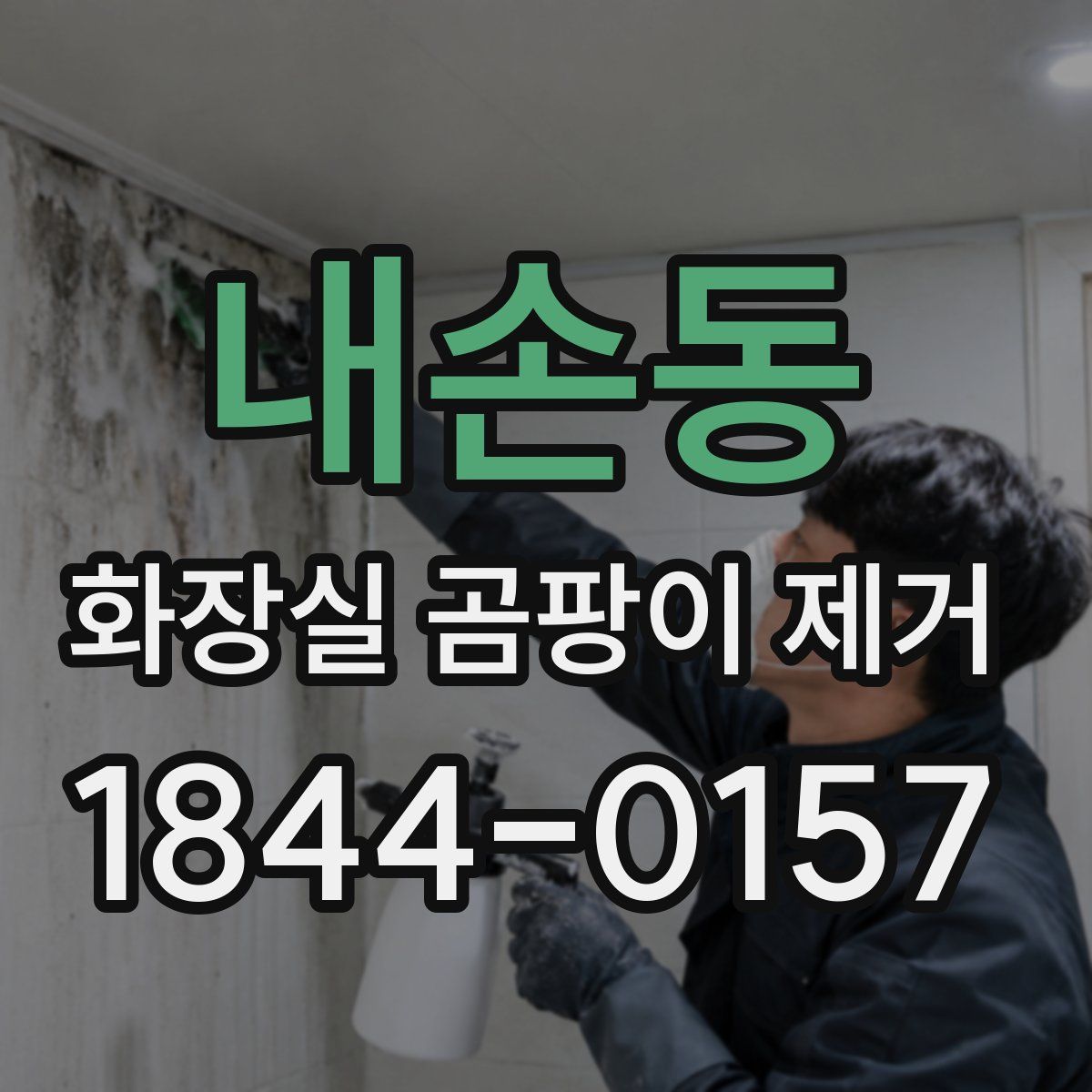 내손동 화장실 곰팡이 제거