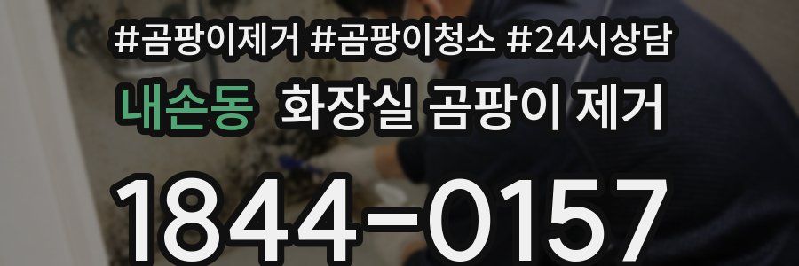 내손동 화장실 곰팡이 제거