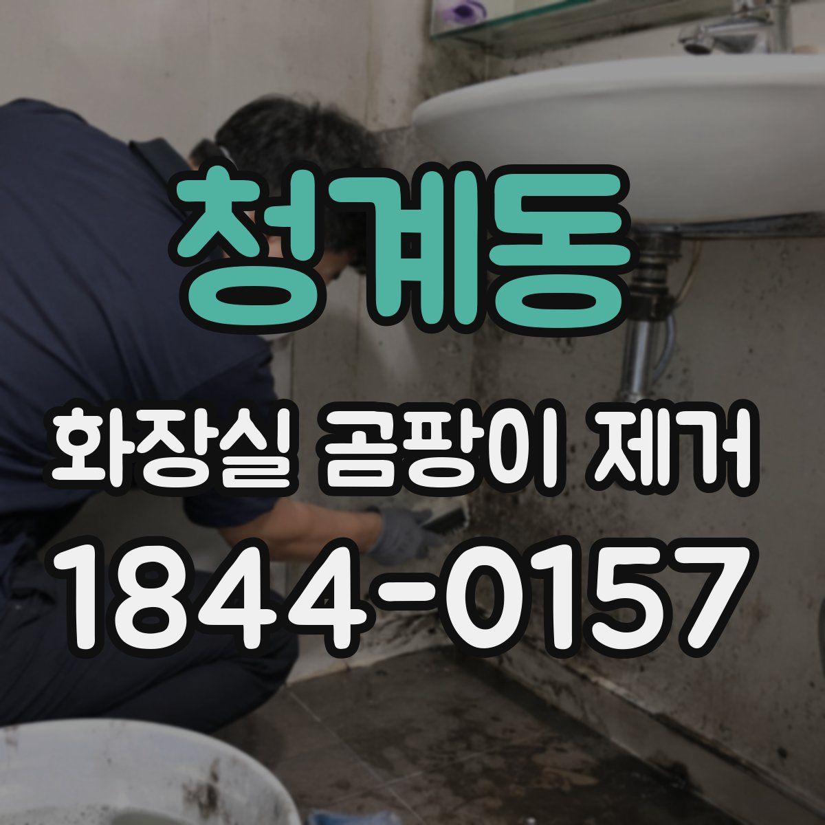 청계동 화장실 곰팡이 제거