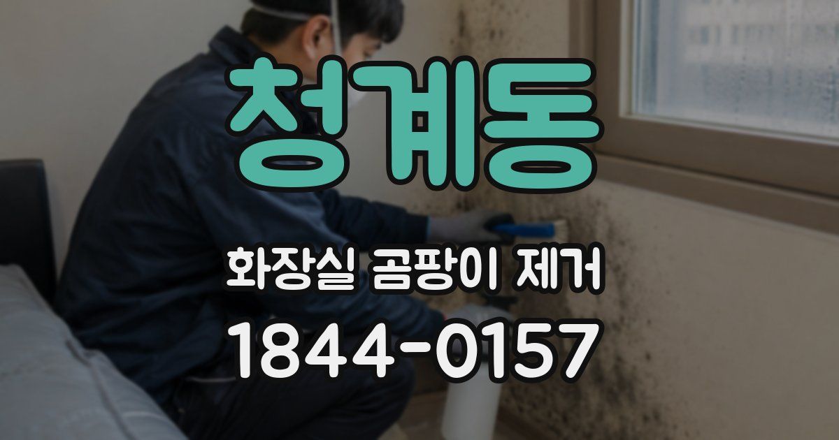 청계동 화장실 곰팡이 제거