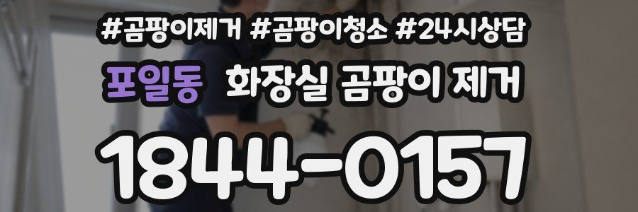 포일동 화장실 곰팡이 제거