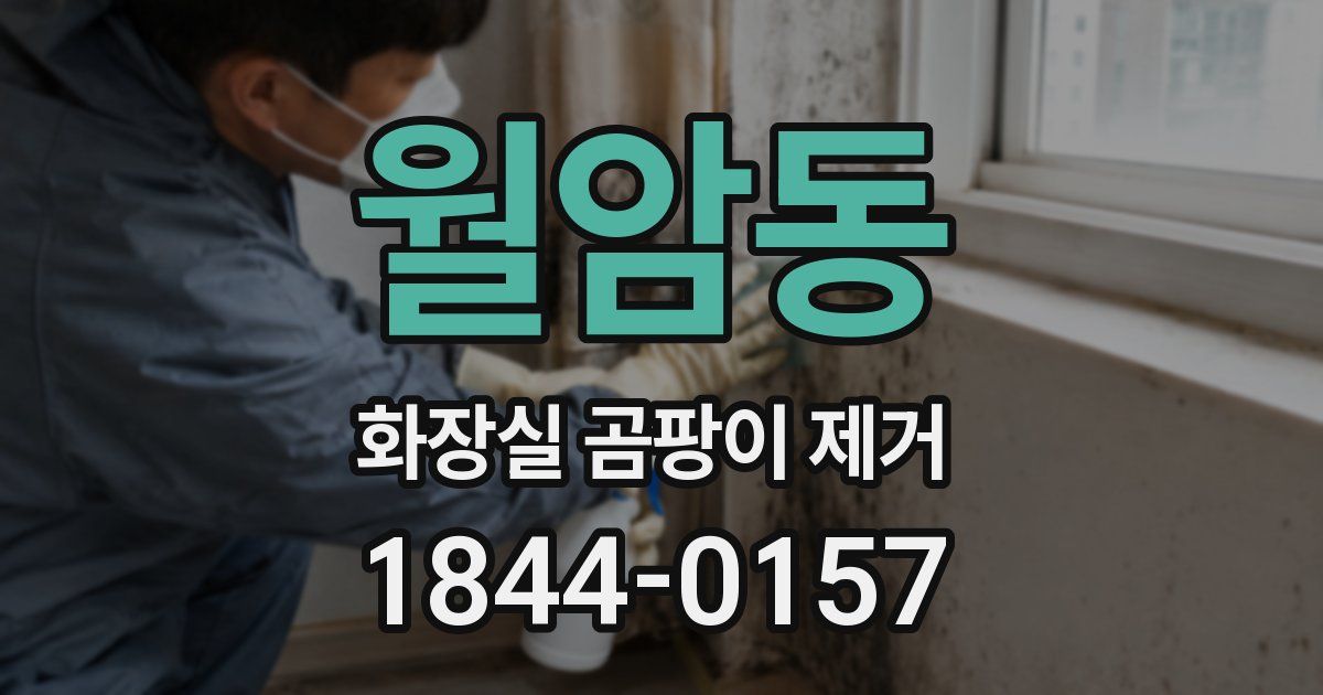 월암동 화장실 곰팡이 제거