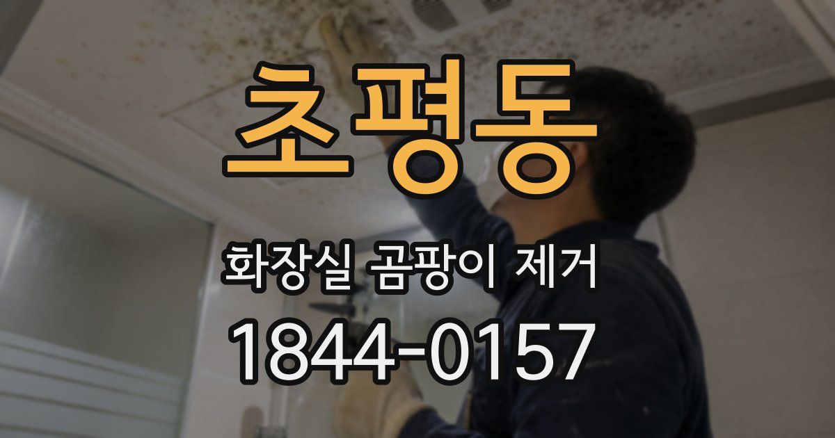 초평동 화장실 곰팡이 제거