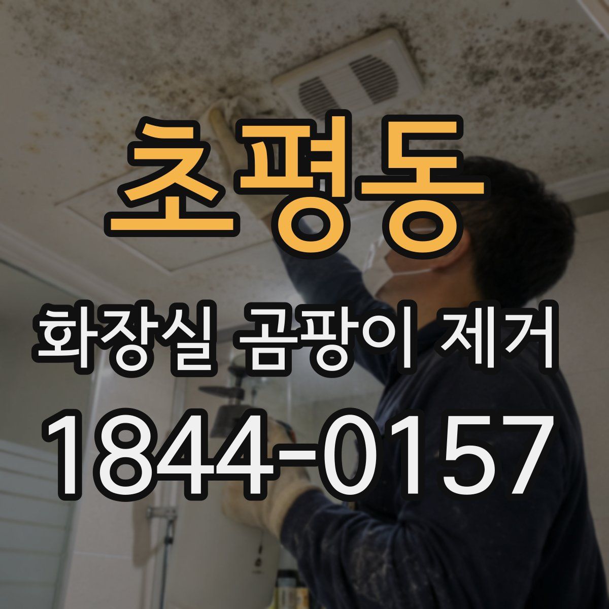초평동 화장실 곰팡이 제거