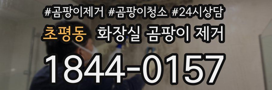 초평동 화장실 곰팡이 제거