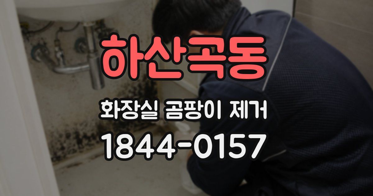 하산곡동 화장실 곰팡이 제거