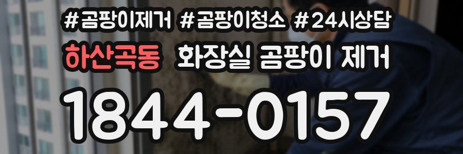 하산곡동 화장실 곰팡이 제거