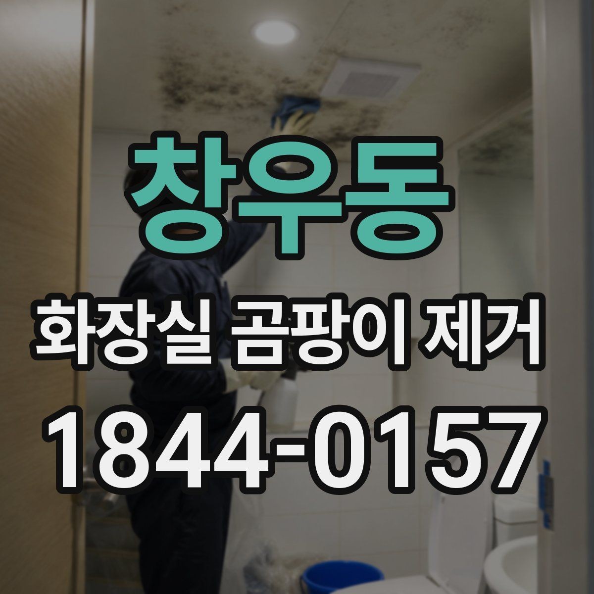 창우동 화장실 곰팡이 제거 스프레이로 부족할 때 살펴볼 곳