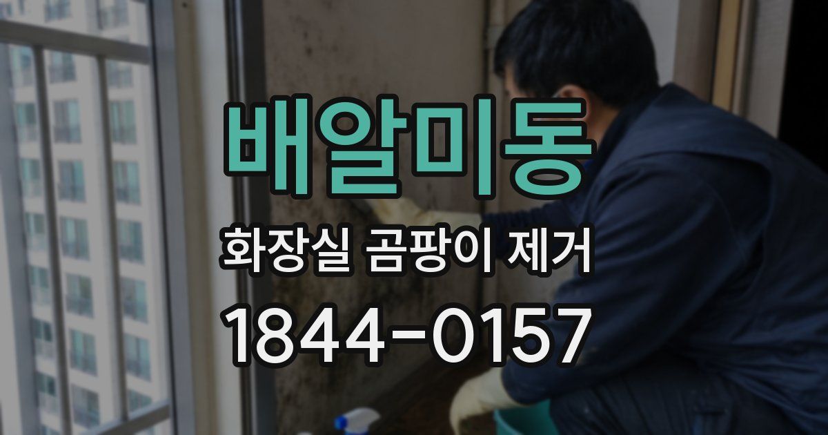 배알미동 화장실 곰팡이 제거