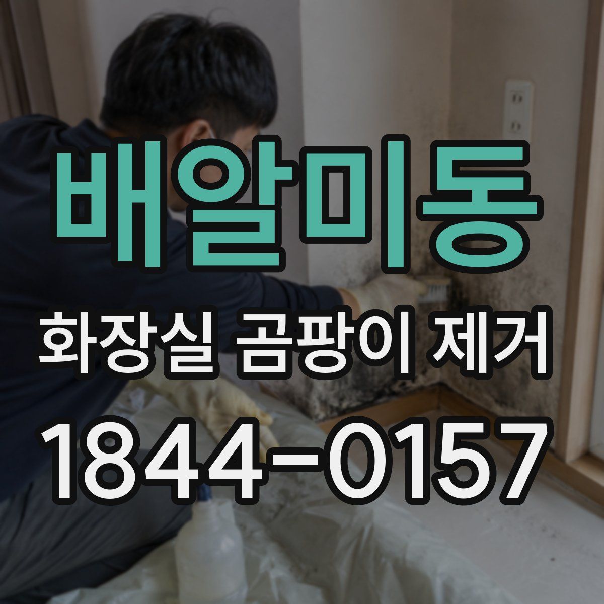 배알미동 화장실 곰팡이 제거