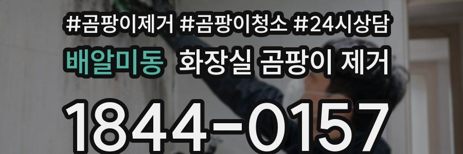 배알미동 화장실 곰팡이 제거