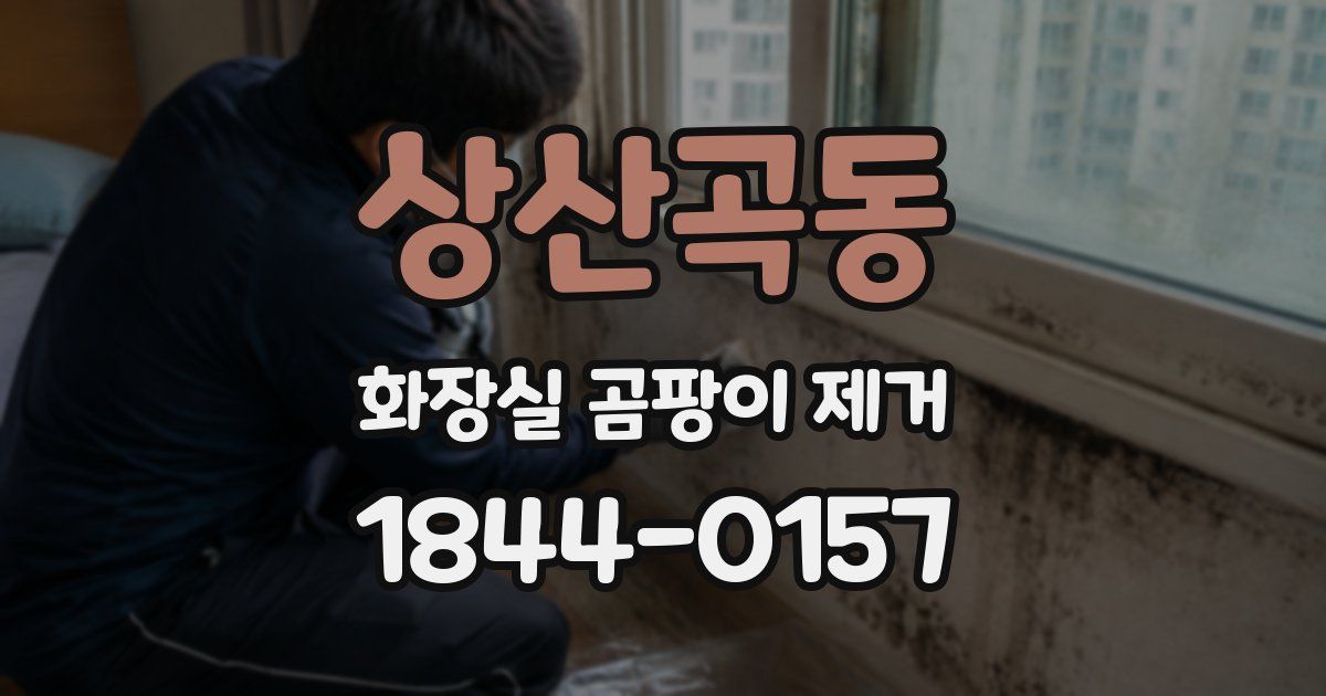상산곡동 화장실 곰팡이 제거