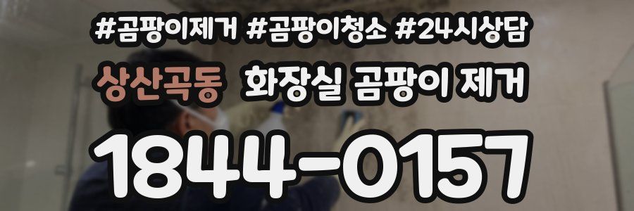 상산곡동 화장실 곰팡이 제거