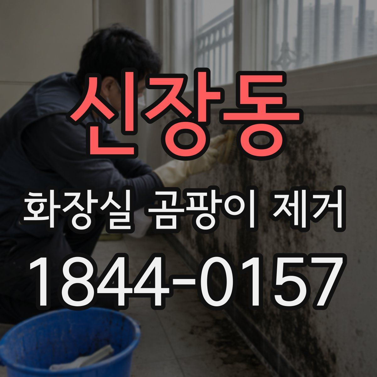 신장동 화장실 곰팡이 제거
