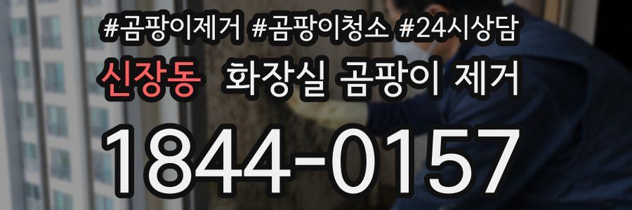 신장동 화장실 곰팡이 제거