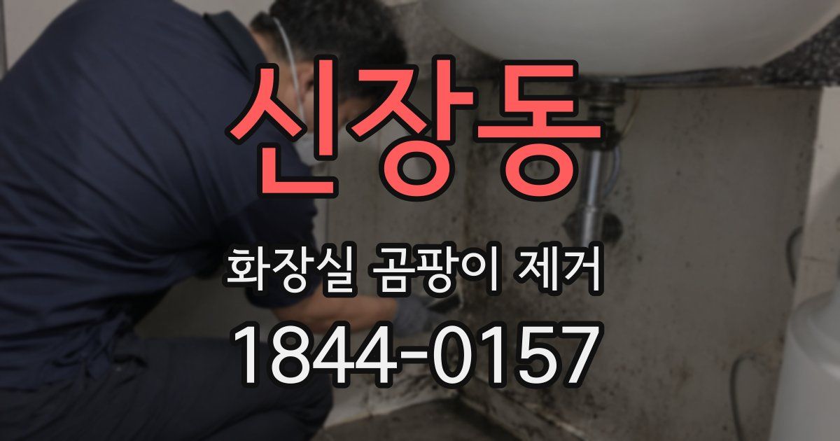 신장동 화장실 곰팡이 제거