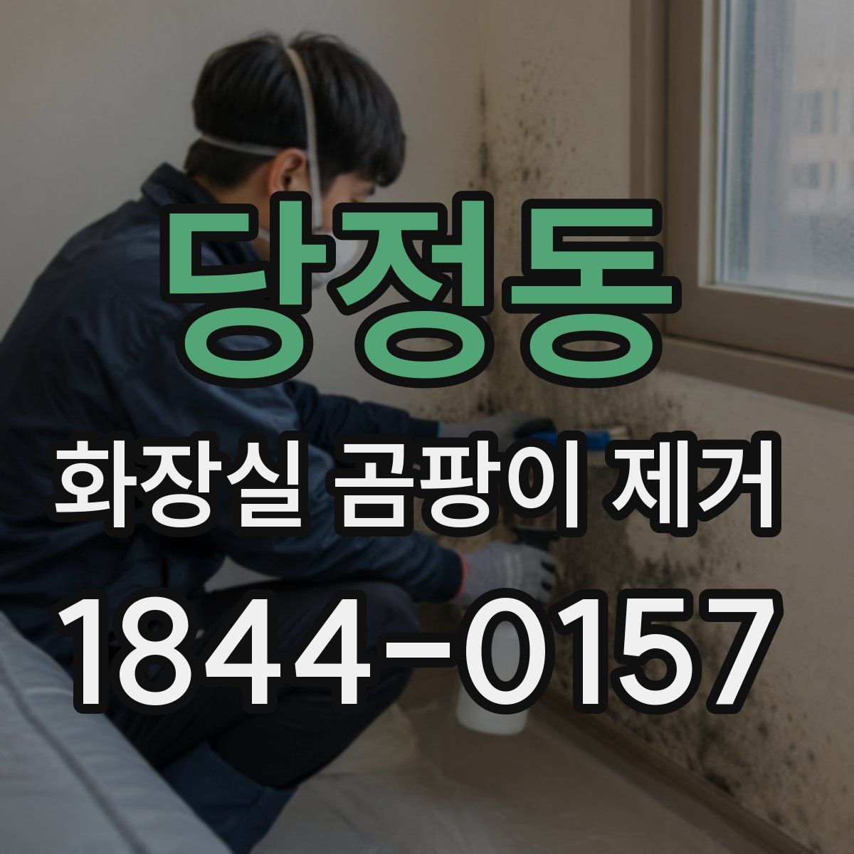 당정동 화장실 곰팡이 제거