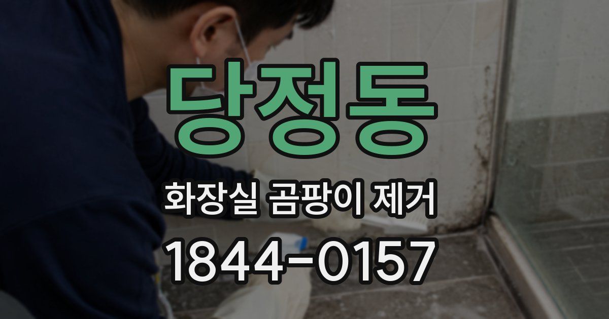 당정동 화장실 곰팡이 제거