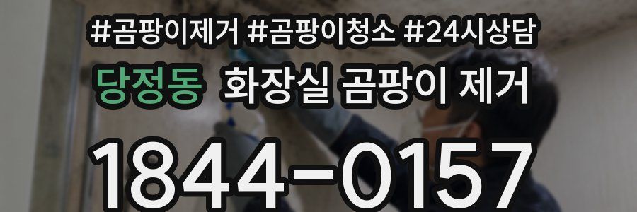 당정동 화장실 곰팡이 제거