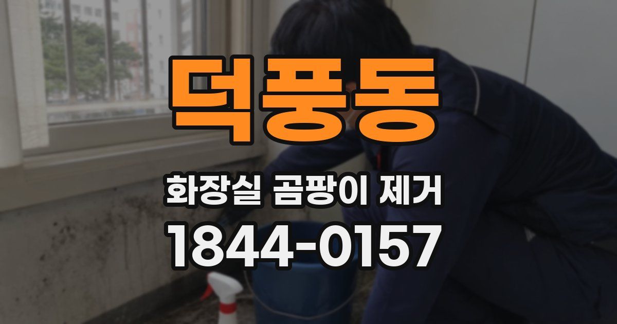 덕풍동 화장실 곰팡이 제거
