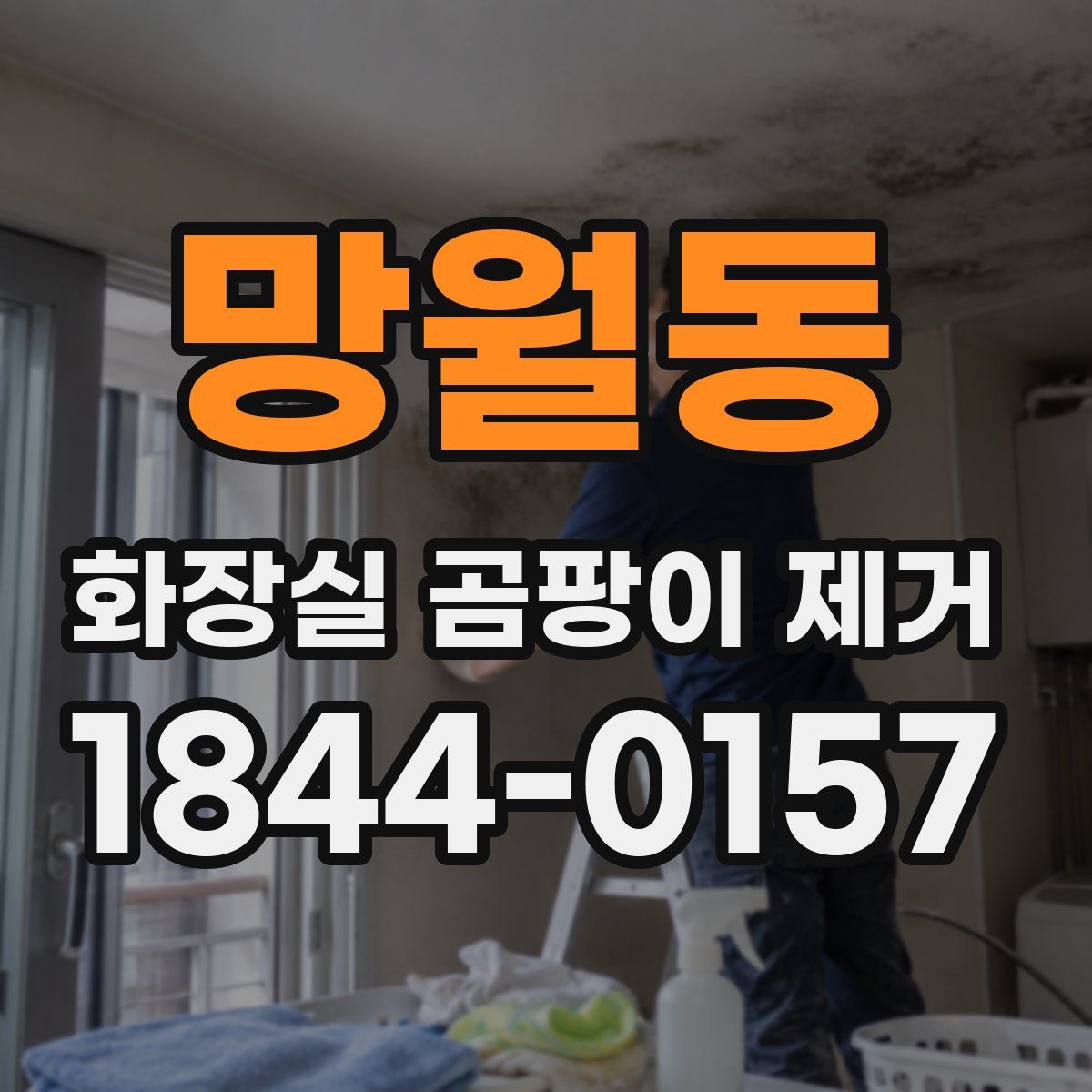 망월동 화장실 곰팡이 제거
