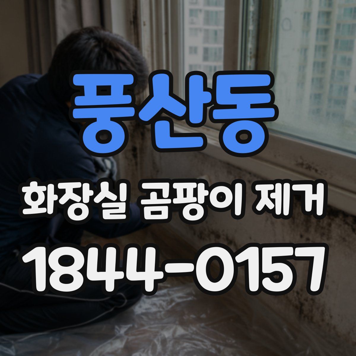 풍산동 화장실 곰팡이 제거