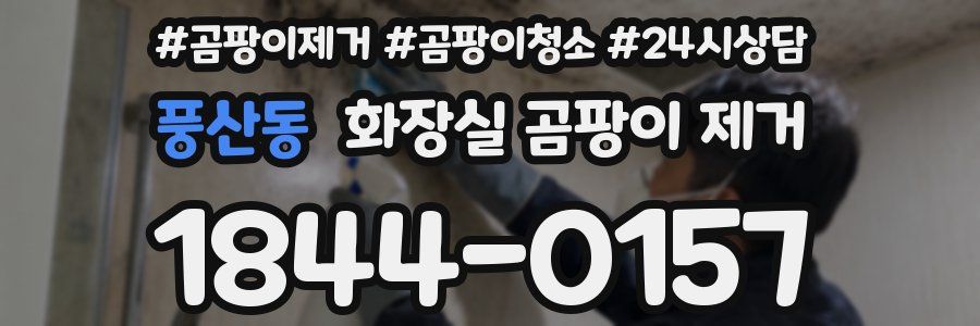 풍산동 화장실 곰팡이 제거