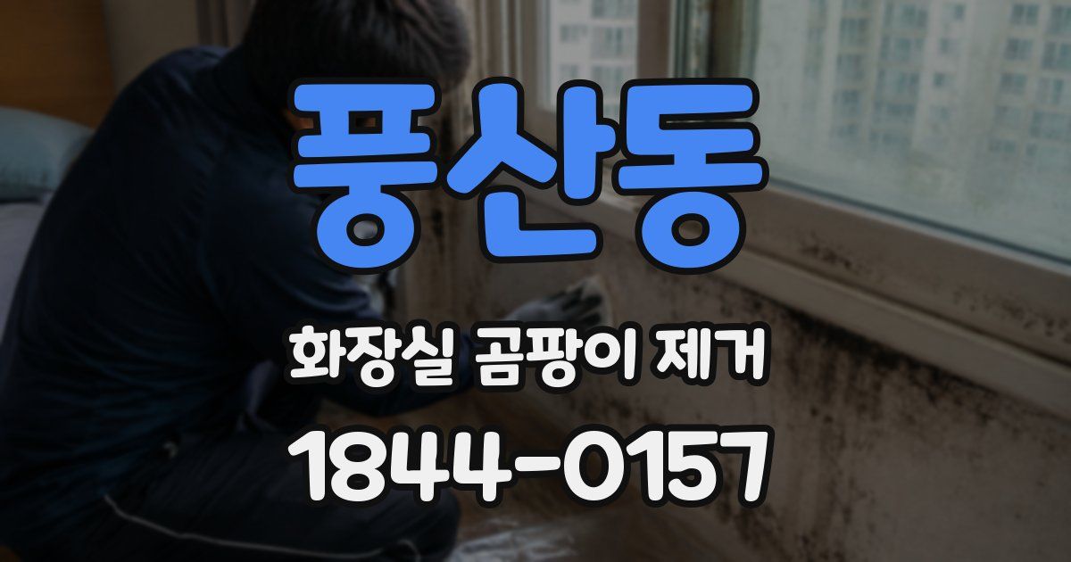 풍산동 화장실 곰팡이 제거