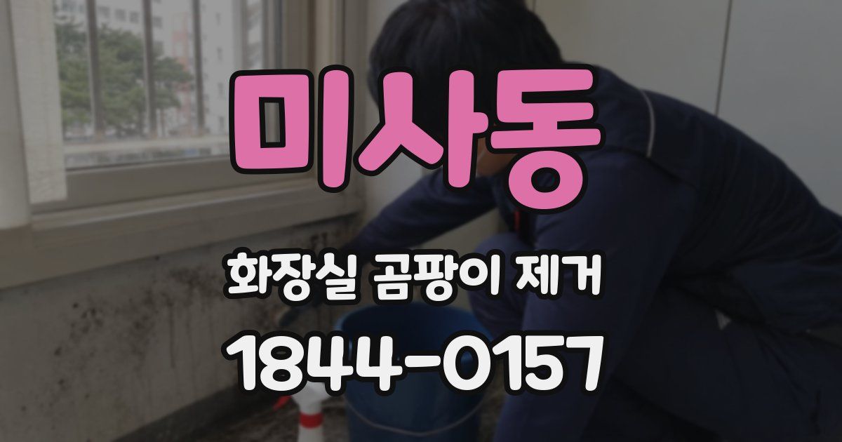 미사동 화장실 곰팡이 제거