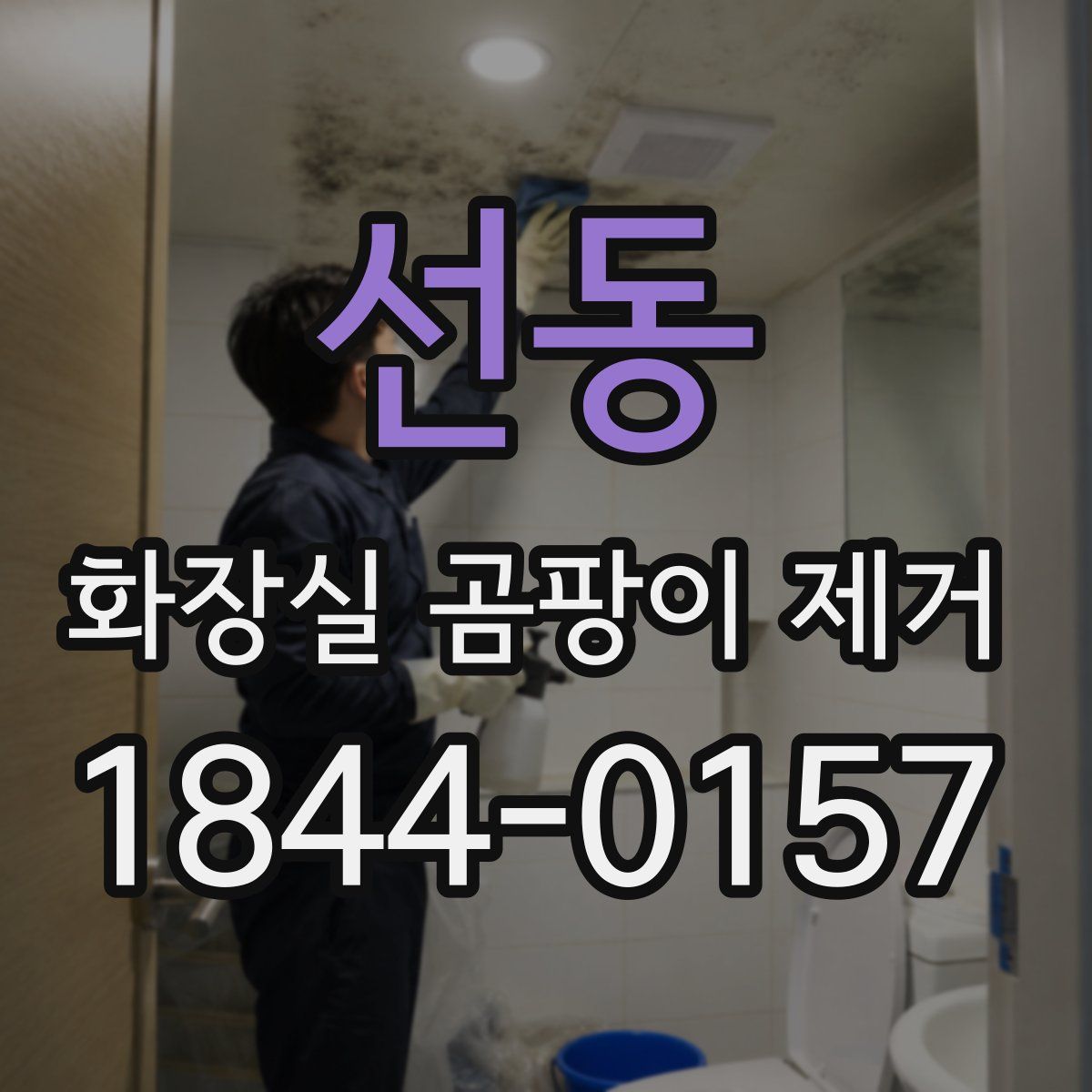 선동 화장실 곰팡이 제거