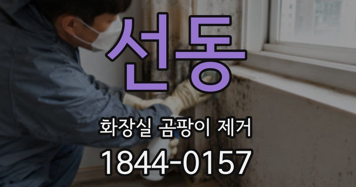 선동 화장실 곰팡이 제거