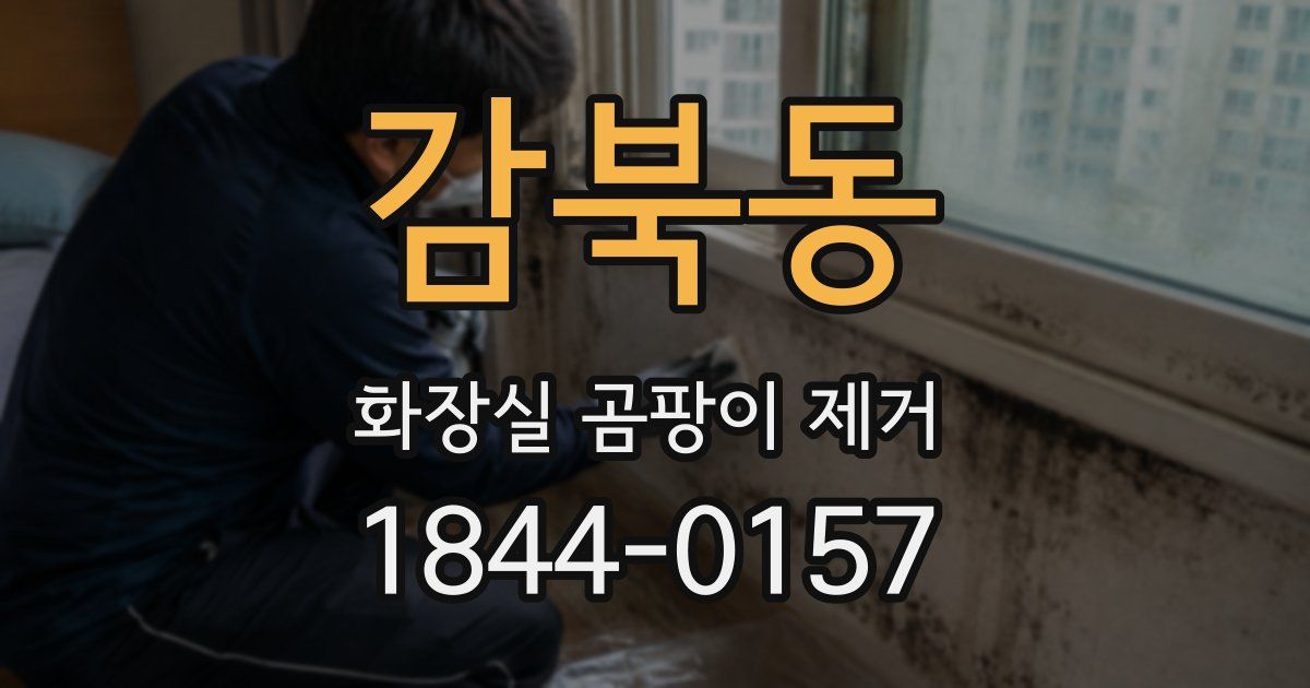 감북동 화장실 곰팡이 제거