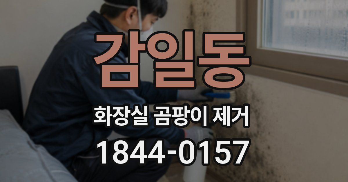 감일동 화장실 곰팡이 제거
