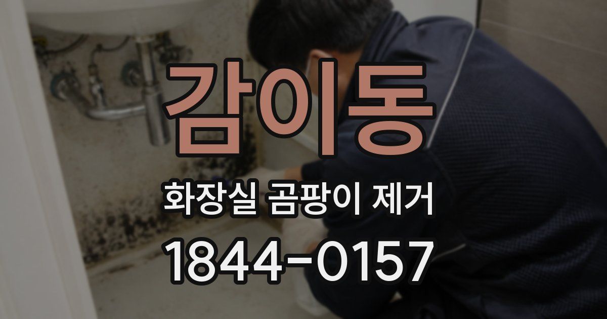 감이동 화장실 곰팡이 제거