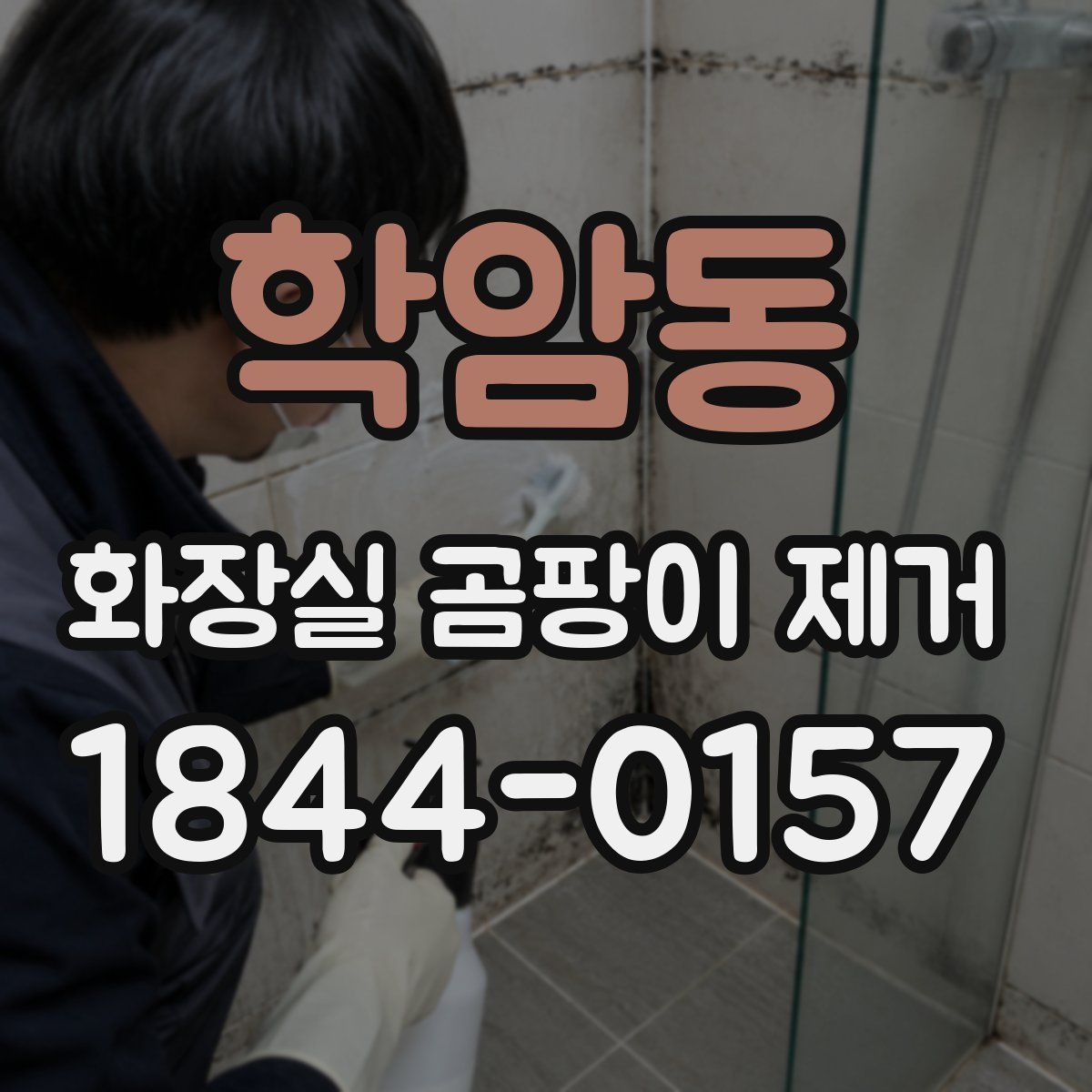 학암동 화장실 곰팡이 제거