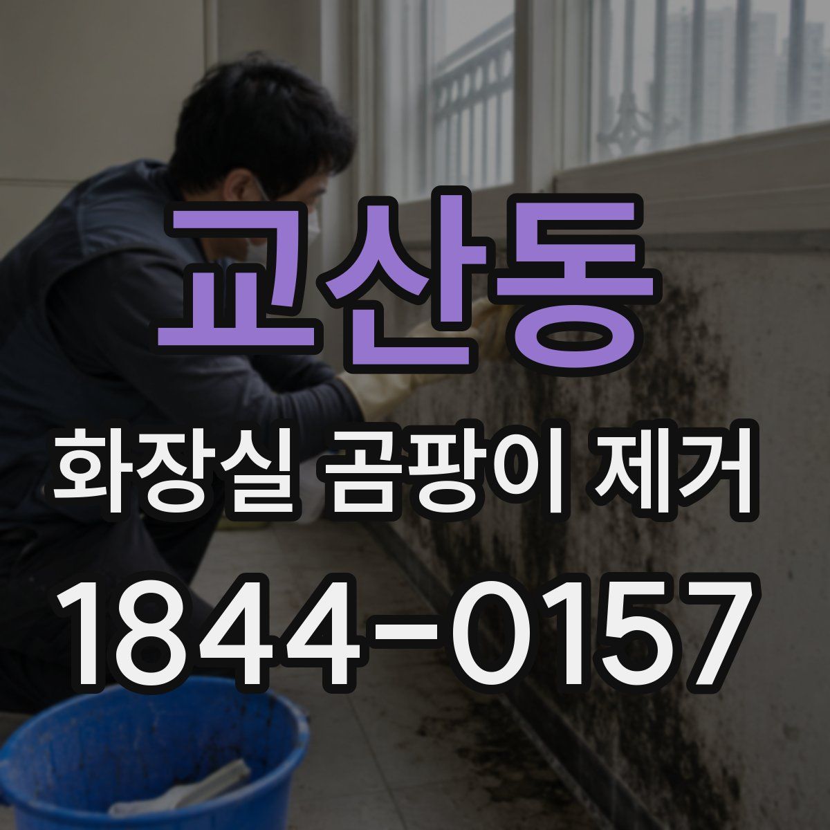 교산동 화장실 곰팡이 제거