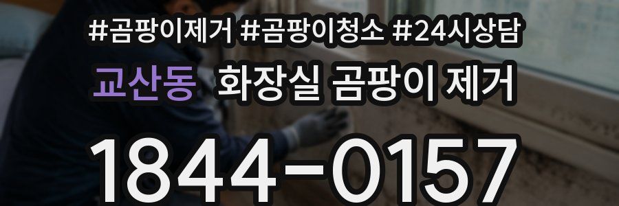 교산동 화장실 곰팡이 제거