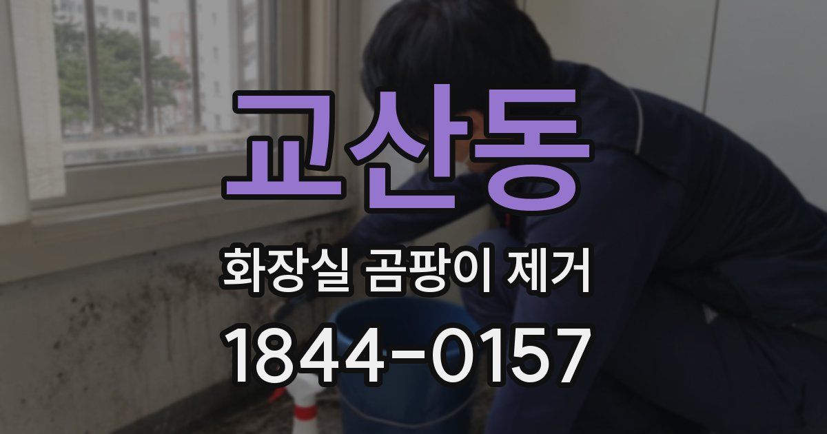 교산동 화장실 곰팡이 제거