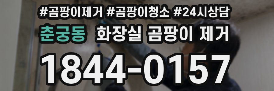 춘궁동 화장실 곰팡이 제거