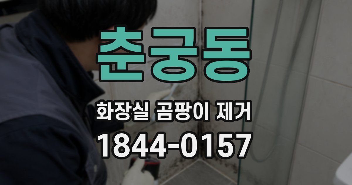 춘궁동 화장실 곰팡이 제거
