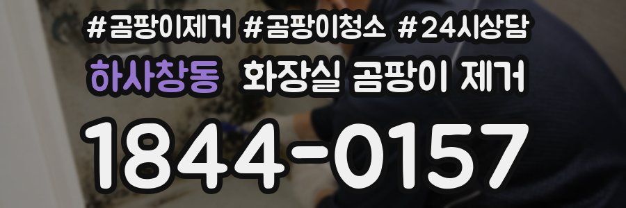 하사창동 화장실 곰팡이 제거